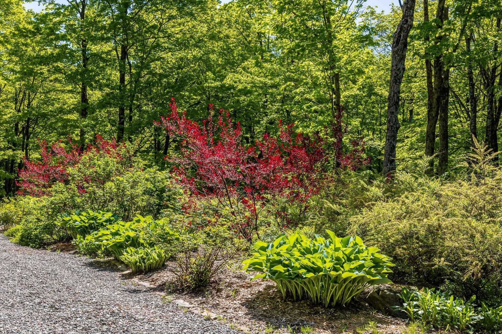 









199


Ch. du Mont-Écho

,
Lac-Brome,




QC
J0E1V0

