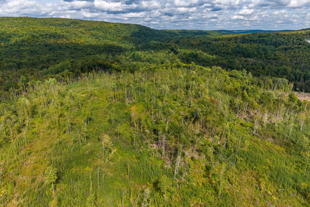 









900


Riv. Coulonge

,
Mansfield-et-Pontefract,







QC
J0X1R0

