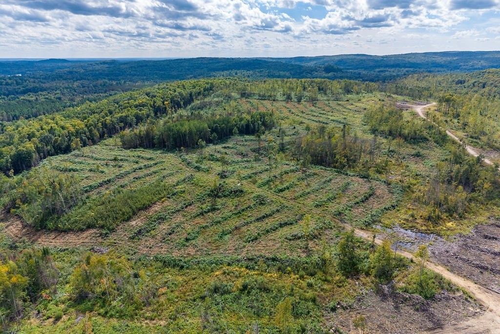 









900


Riv. Coulonge

,
Mansfield-et-Pontefract,







QC
J0X1R0

