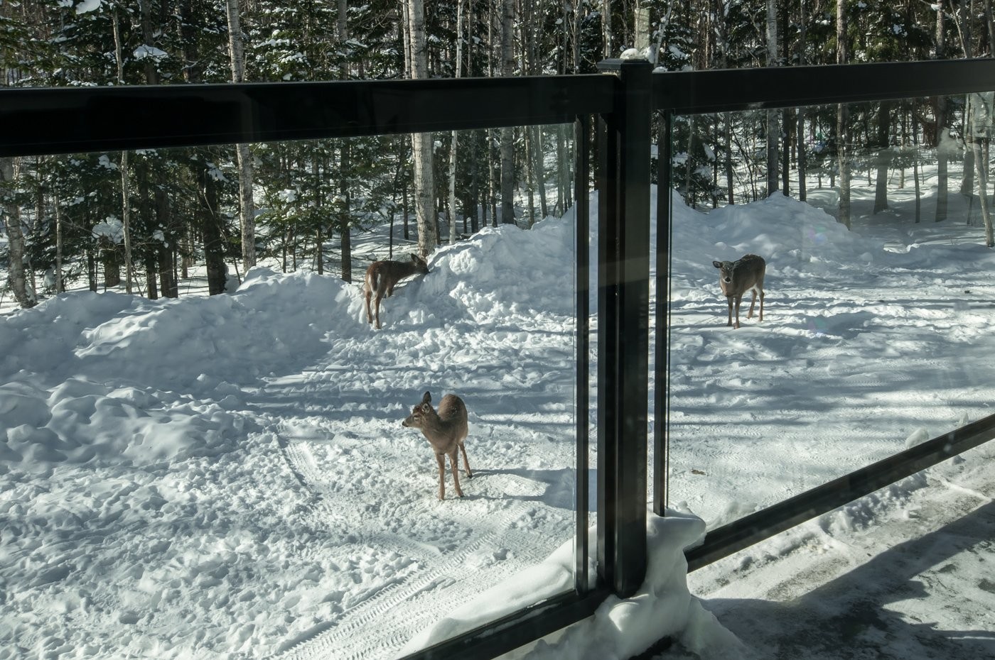 









10


Ch. de la Paix

,
Saint-Michel-des-Saints,




QC
J0K3B0

