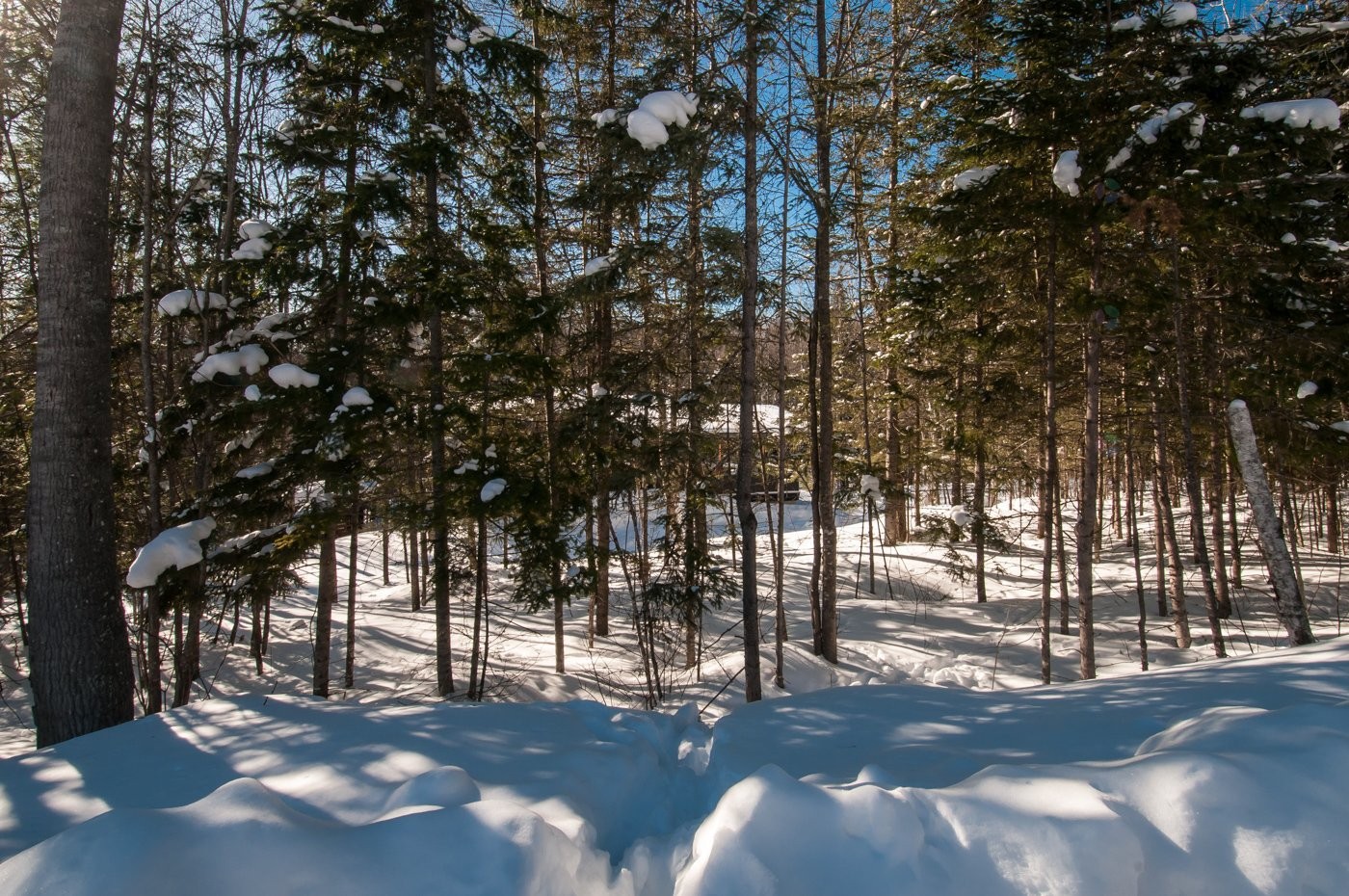 









10


Ch. de la Paix

,
Saint-Michel-des-Saints,




QC
J0K3B0

