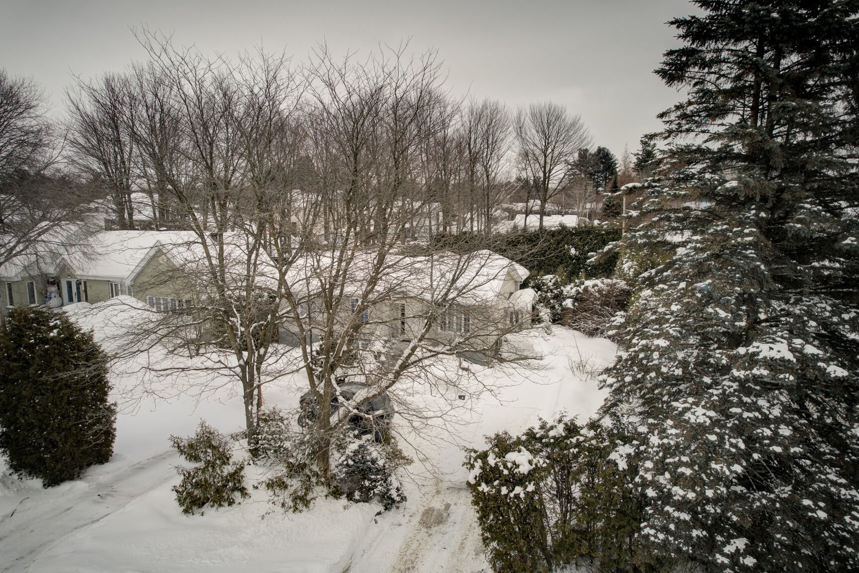 









3261


Rue du Lilas

,
Terrebonne (La Plaine),




QC
J7M1K1

