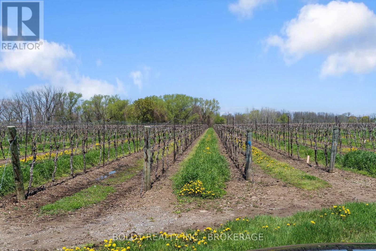 












N/S SCOTT STREET

,
Niagara-on-the-Lake (Lakeshore),







Ontario
L0S1J0

