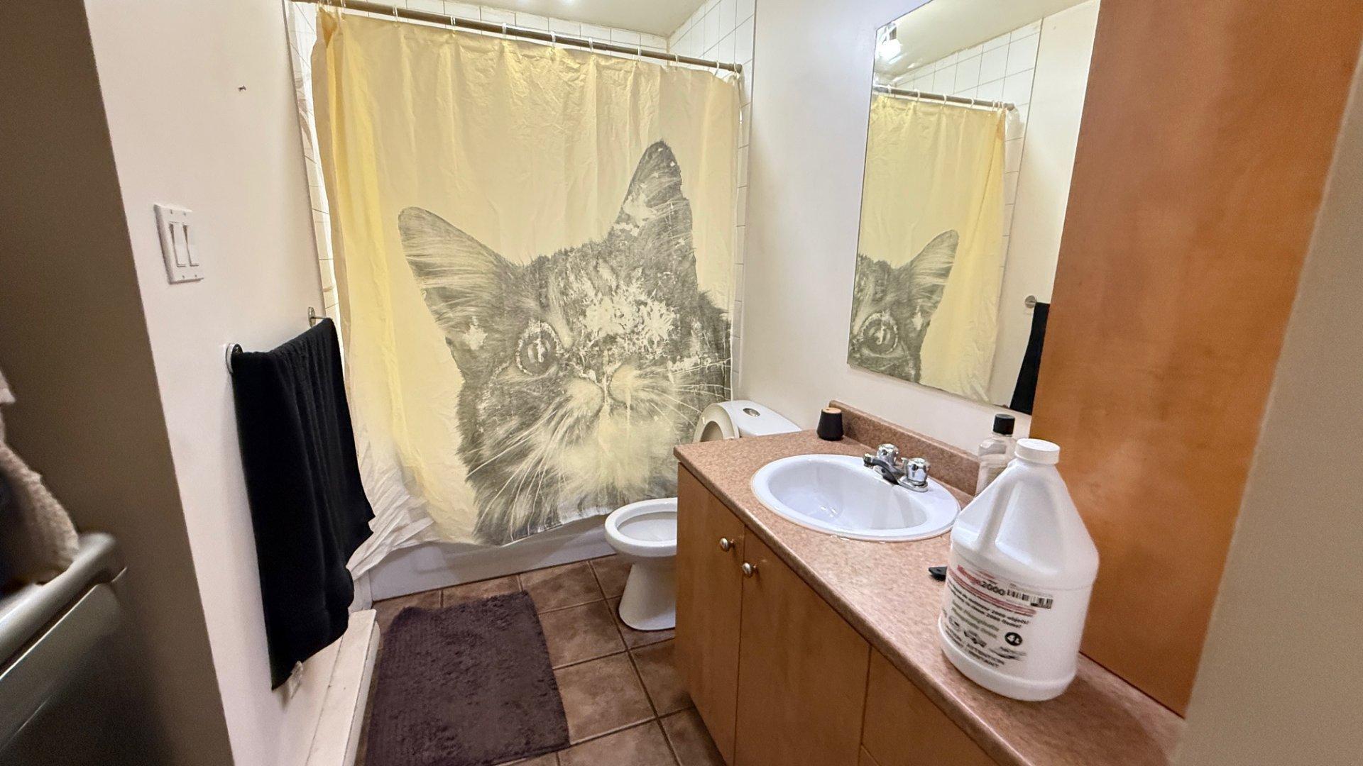 









85

 - 87


Rue Notre-Dame

,
L'Épiphanie,




QC
J5X2V4

