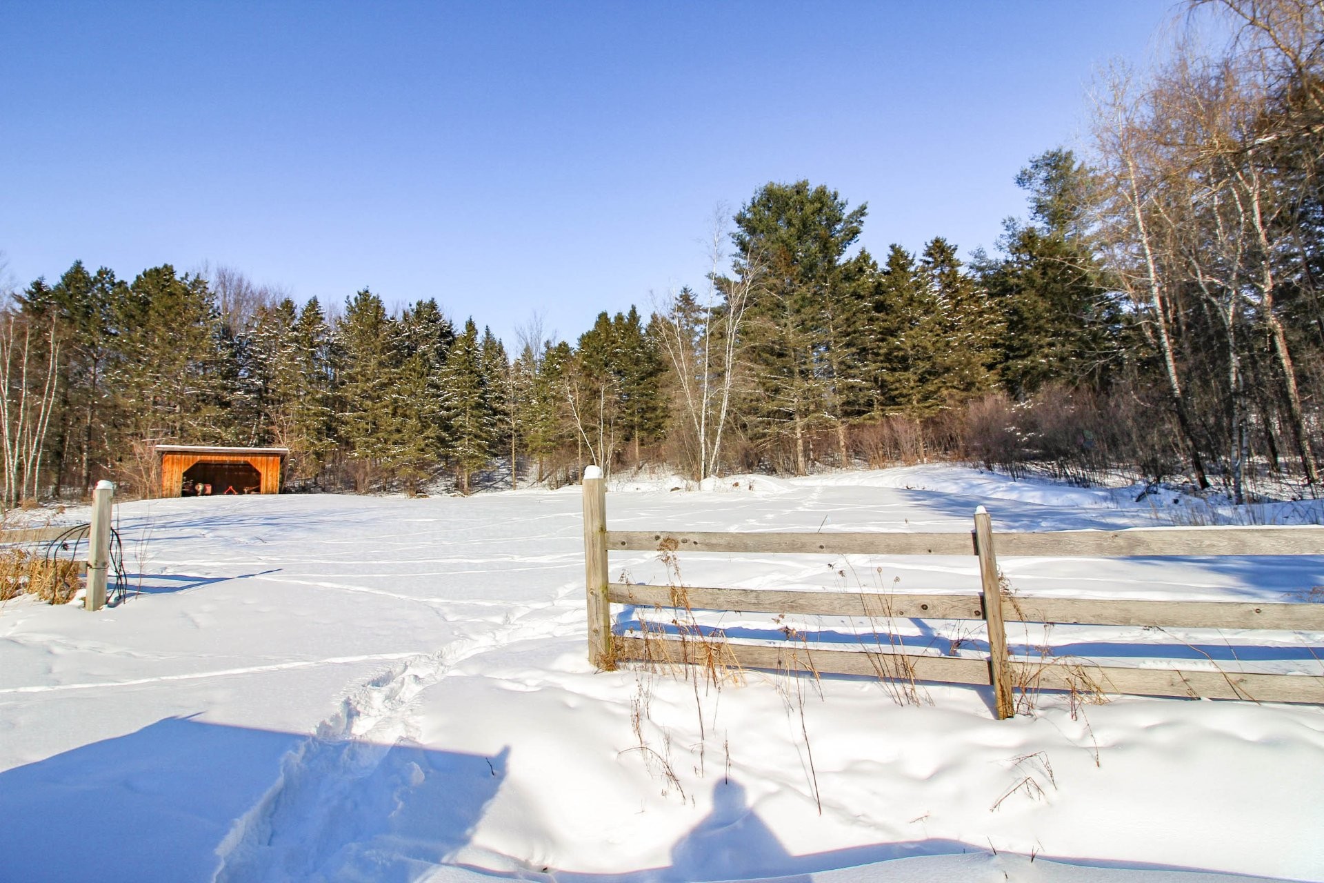 









7685

 - 7705


Rue St-François N.

,
Sherbrooke (Fleurimont),




QC
J1C0V4

