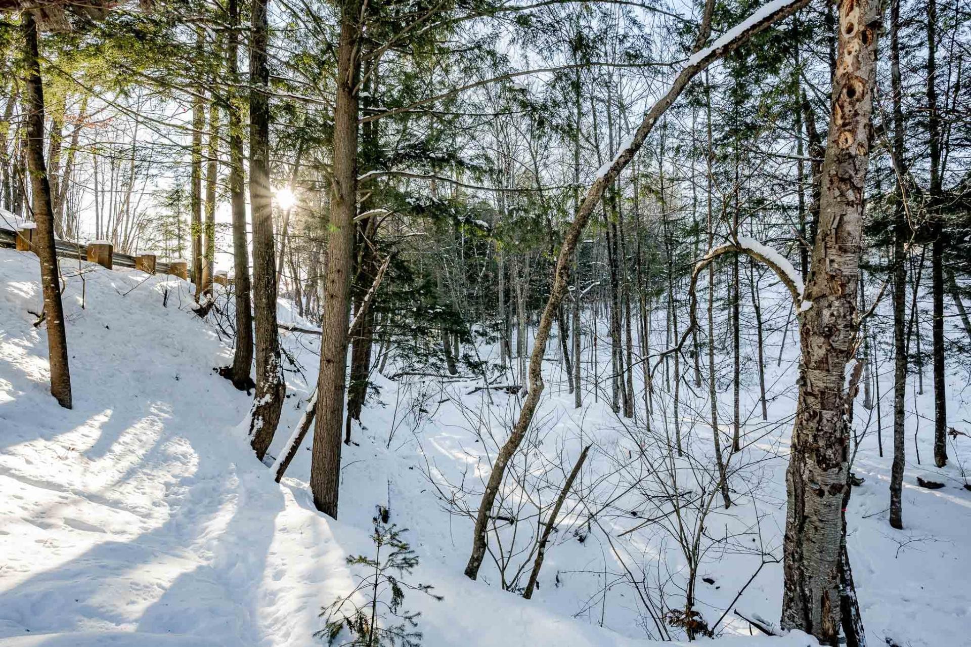 









54


Rue Downs

,
Sherbrooke (Lennoxville),




QC
J1M1Z1

