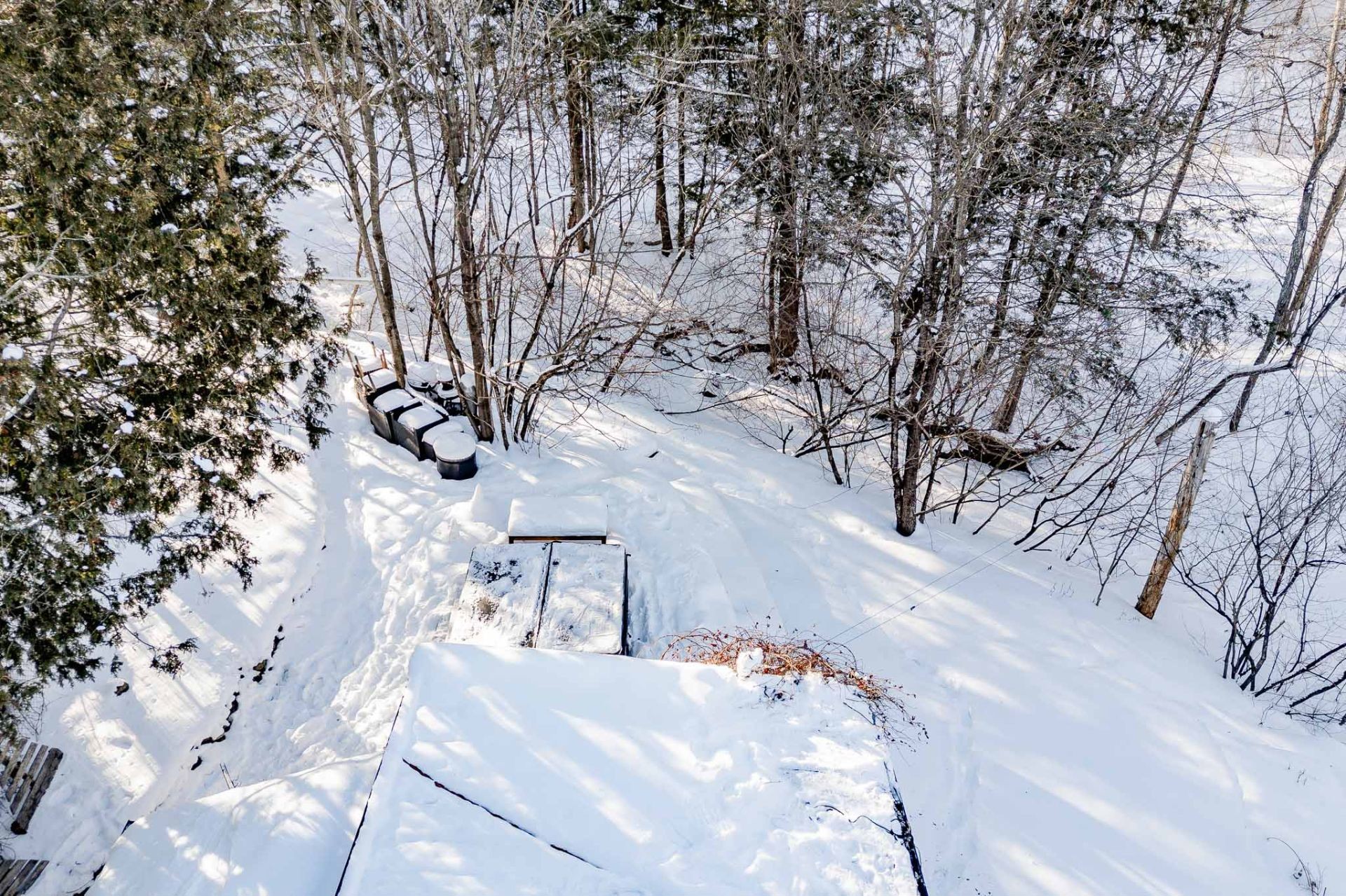 









54


Rue Downs

,
Sherbrooke (Lennoxville),




QC
J1M1Z1

