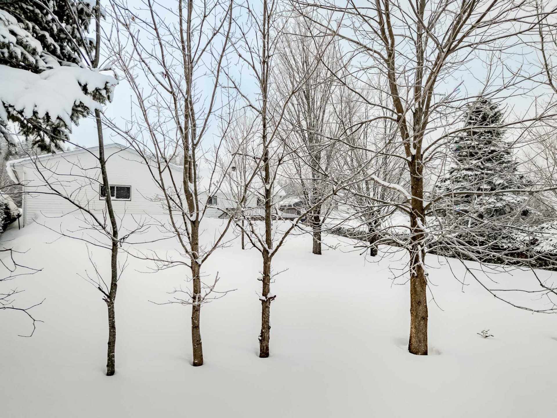 









148


Rue Principale

,
Saint-Malo,




QC
J0B2Y0

