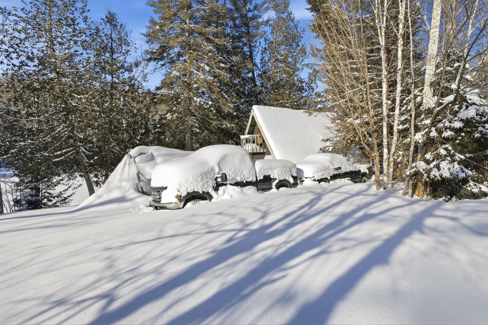 









829


Ch. Cléo-Fournier

,
La Pêche,




QC
J0X1S0

