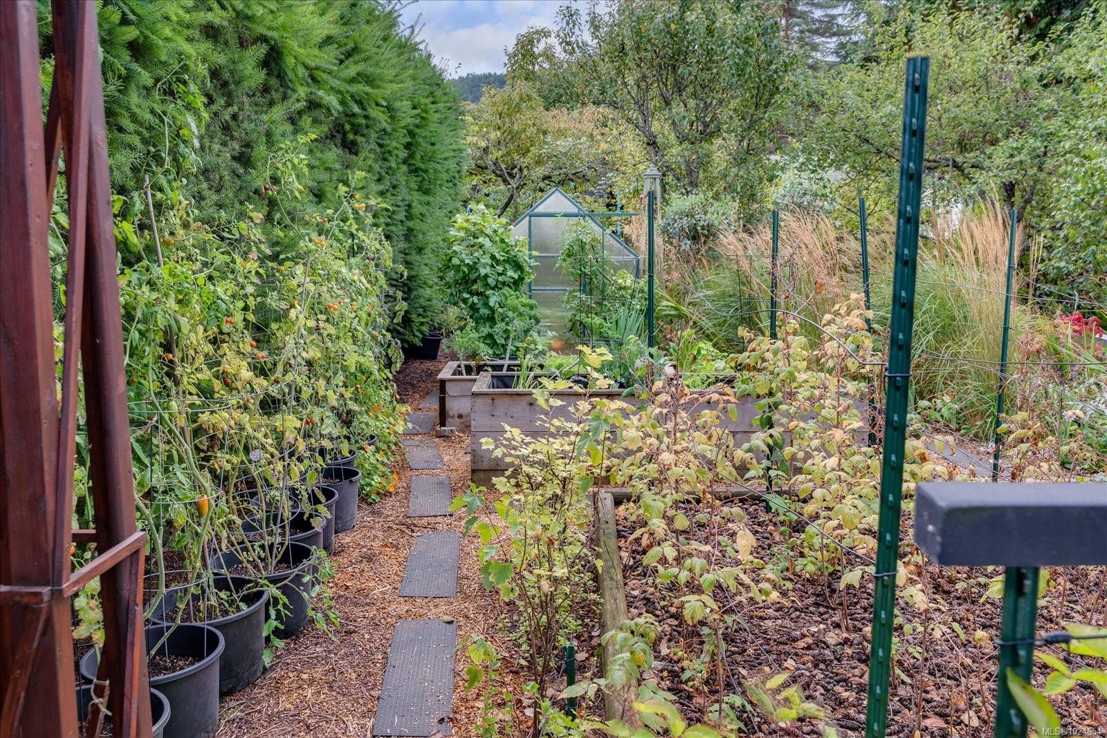 









6891


Harwood

Dr,
Lantzville,




BC
V0R 2H0

