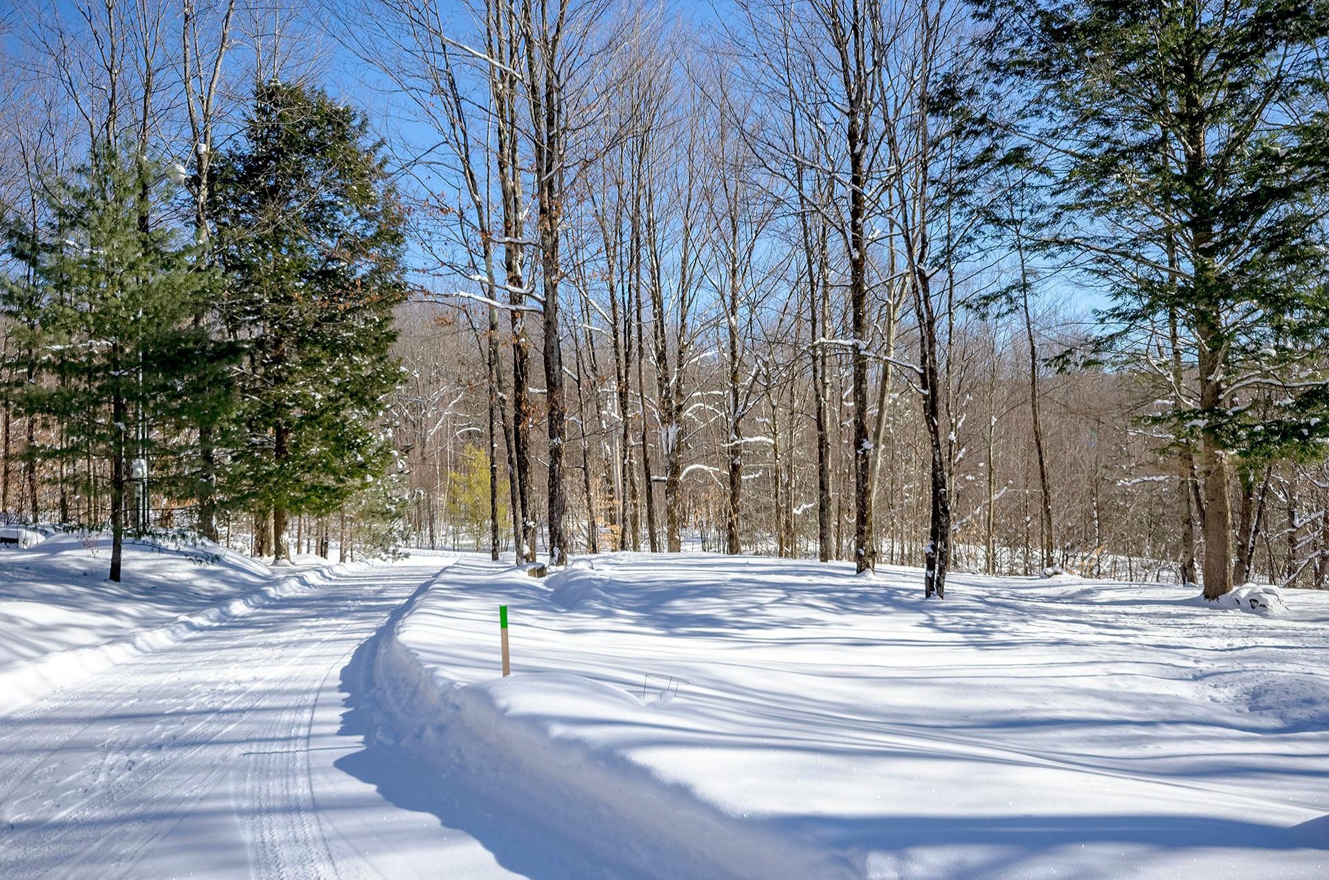 









725


Ch. du Boisé

,
Sutton,




QC
J0E2K0

