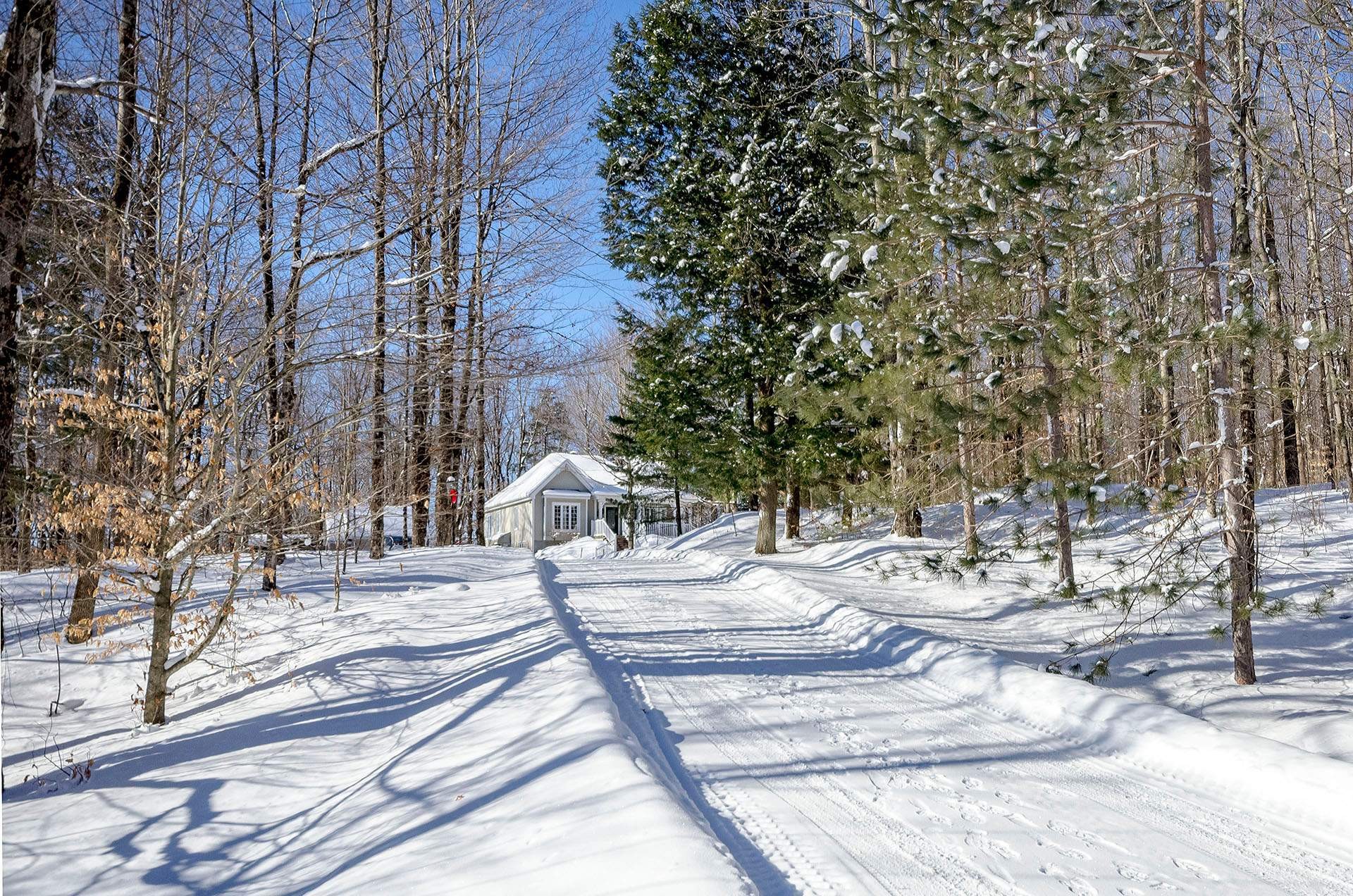 









725


Ch. du Boisé

,
Sutton,




QC
J0E2K0

