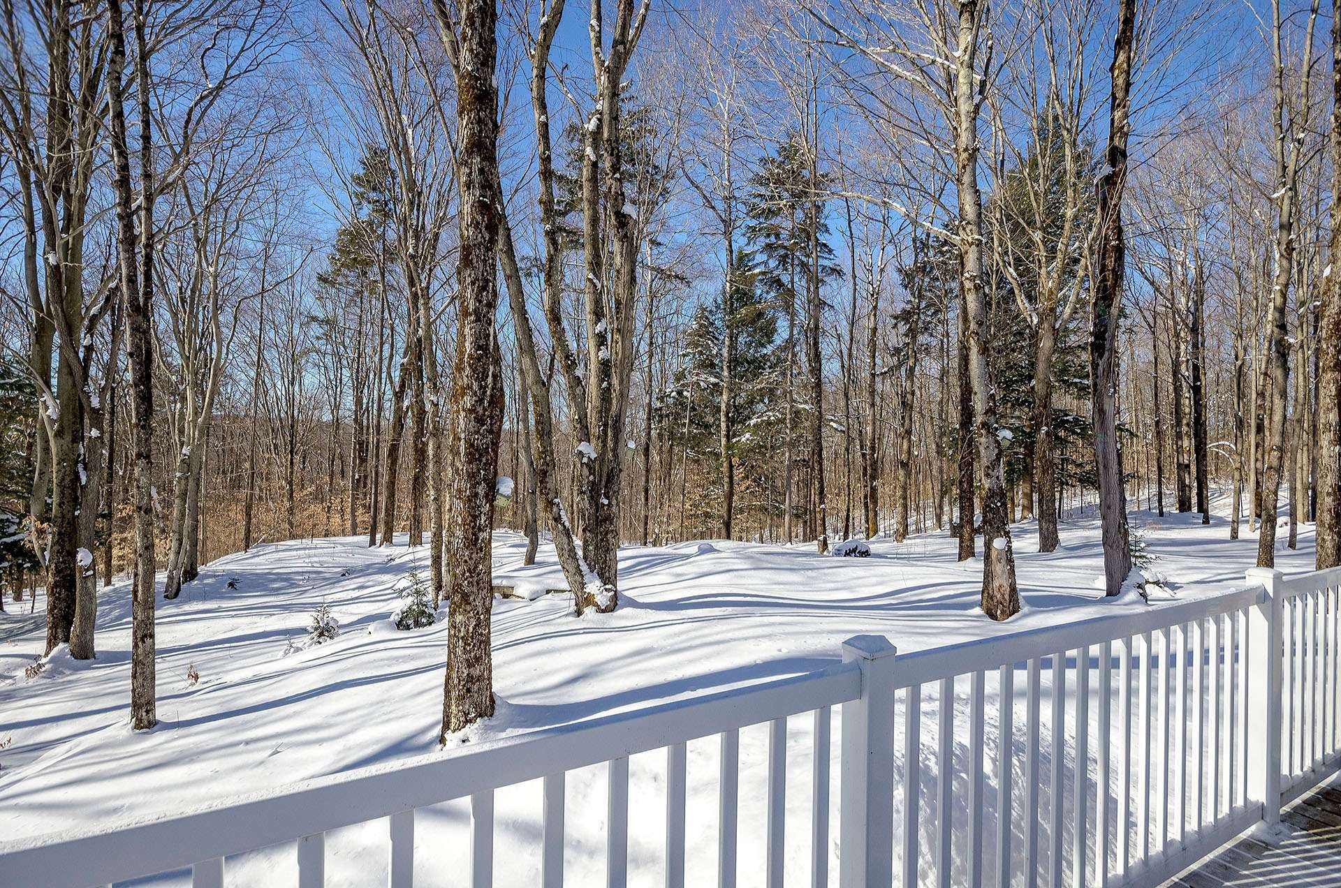 









725


Ch. du Boisé

,
Sutton,




QC
J0E2K0

