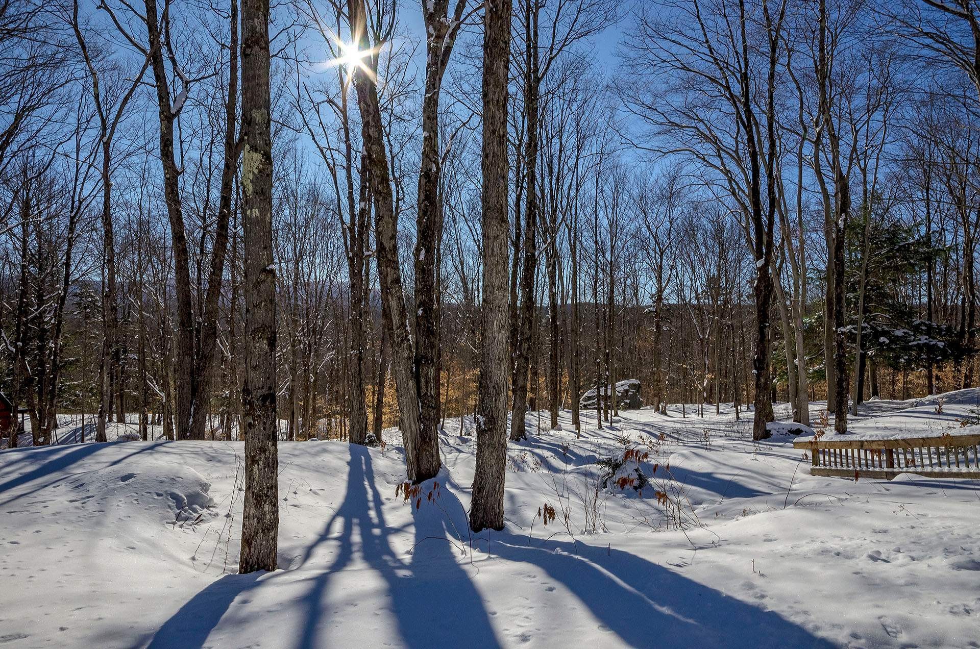 









725


Ch. du Boisé

,
Sutton,




QC
J0E2K0

