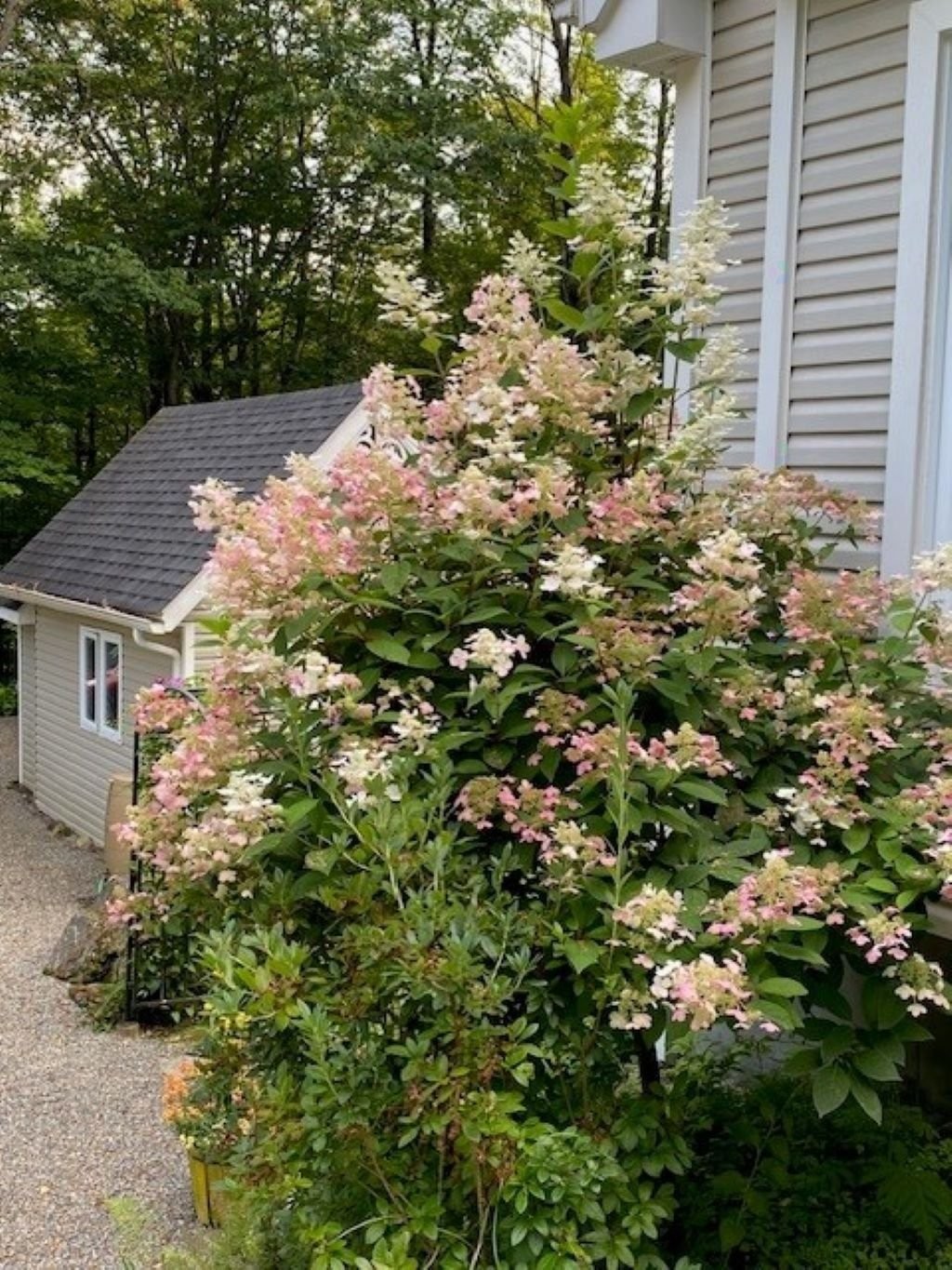 









725


Ch. du Boisé

,
Sutton,




QC
J0E2K0

