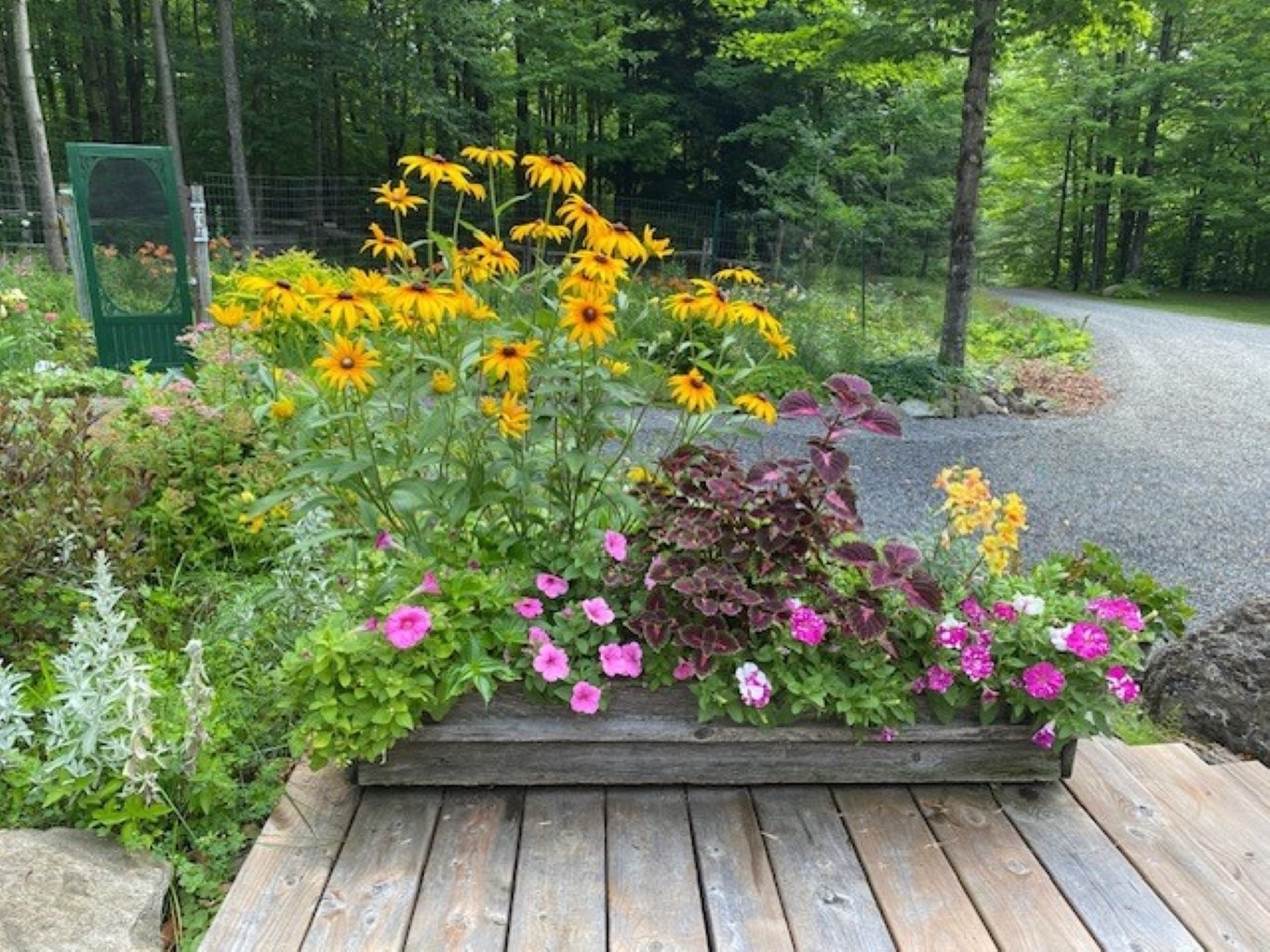 









725


Ch. du Boisé

,
Sutton,




QC
J0E2K0

