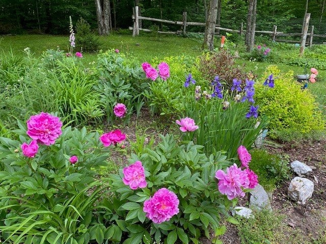 









725


Ch. du Boisé

,
Sutton,




QC
J0E2K0

