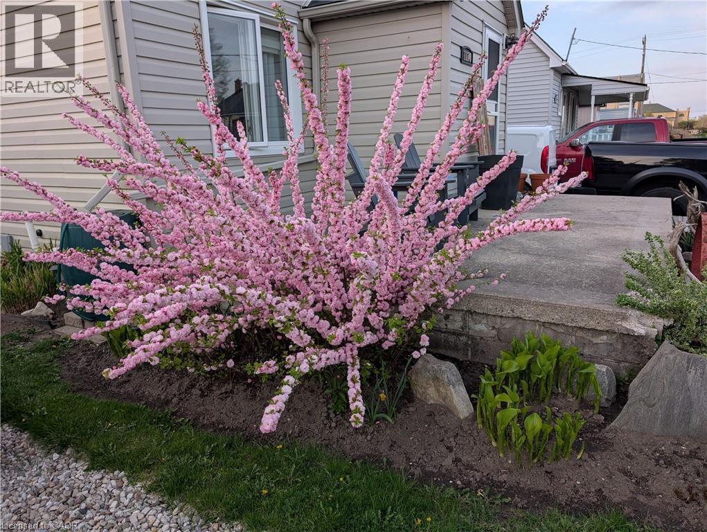 












1170 UNION Street

,
Kitchener,




Ontario
N2H6K2

