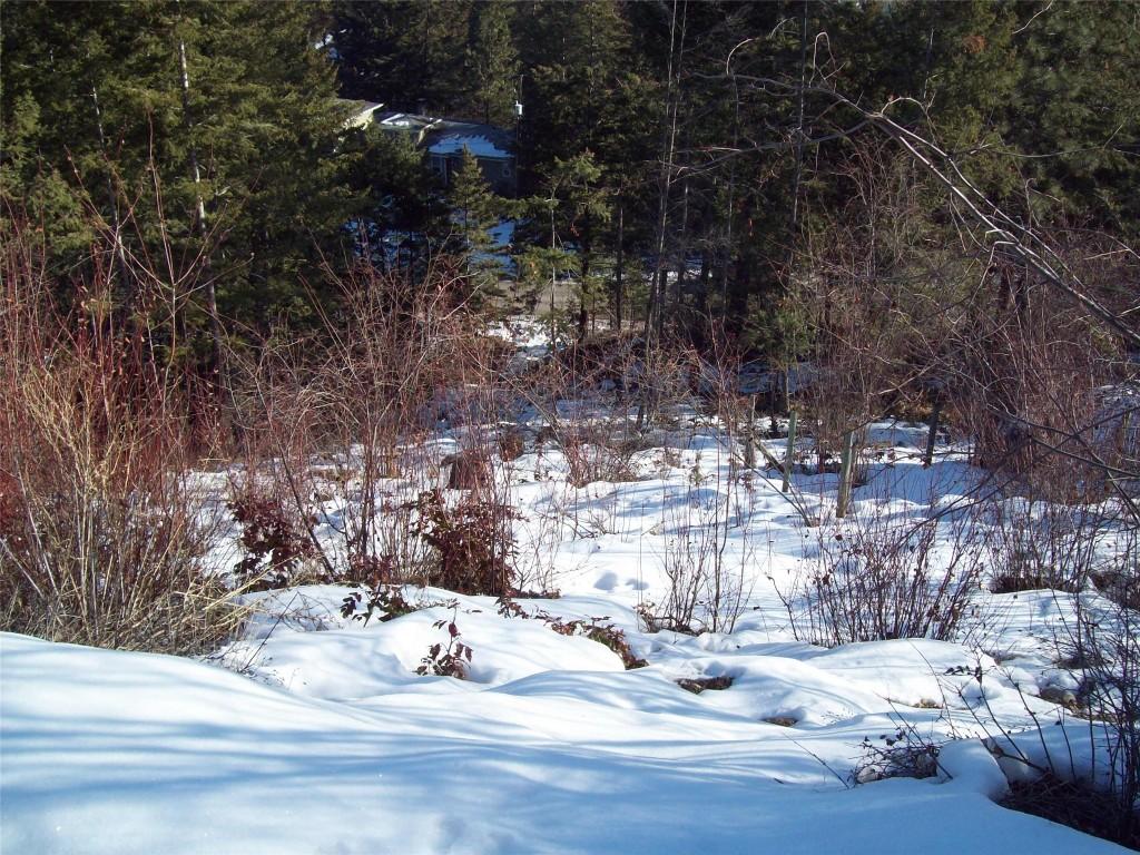 









358


Mountain

Drive,
Vernon,







BC
V1M 2B4

