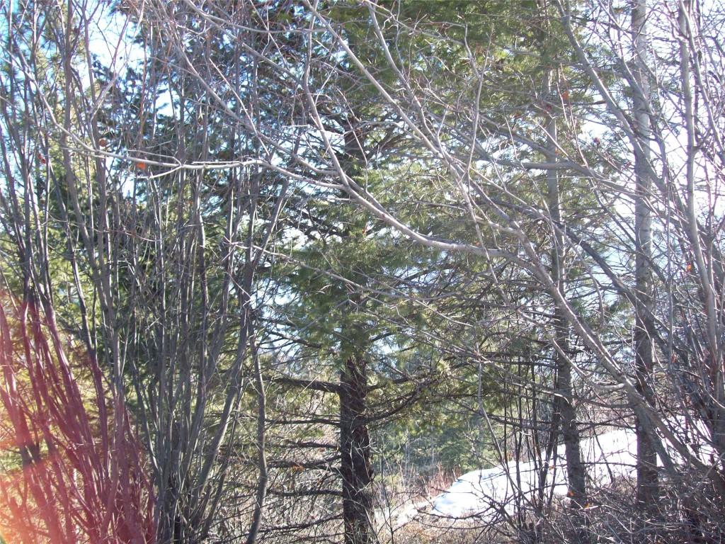 









358


Mountain

Drive,
Vernon,







BC
V1M 2B4

