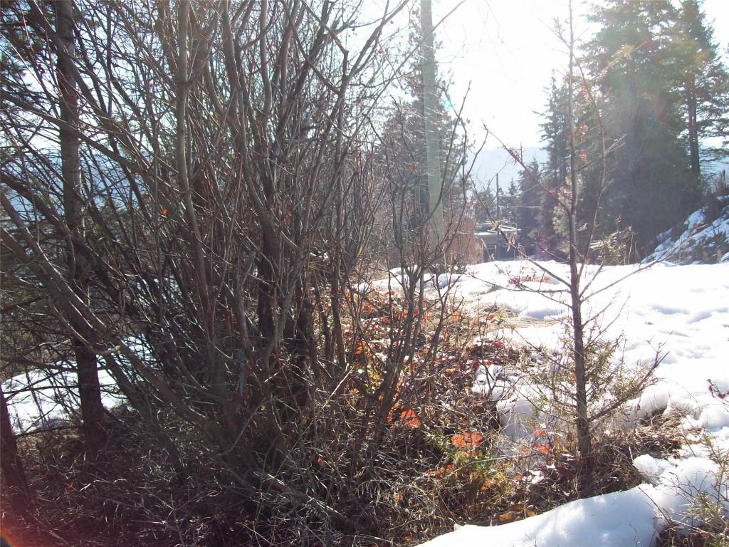 









358


Mountain

Drive,
Vernon,







BC
V1M 2B4

