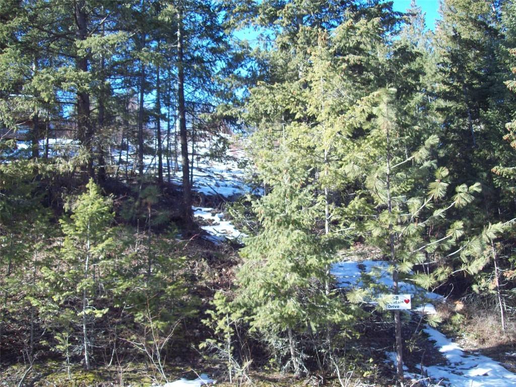 









358


Mountain

Drive,
Vernon,







BC
V1M 2B4

