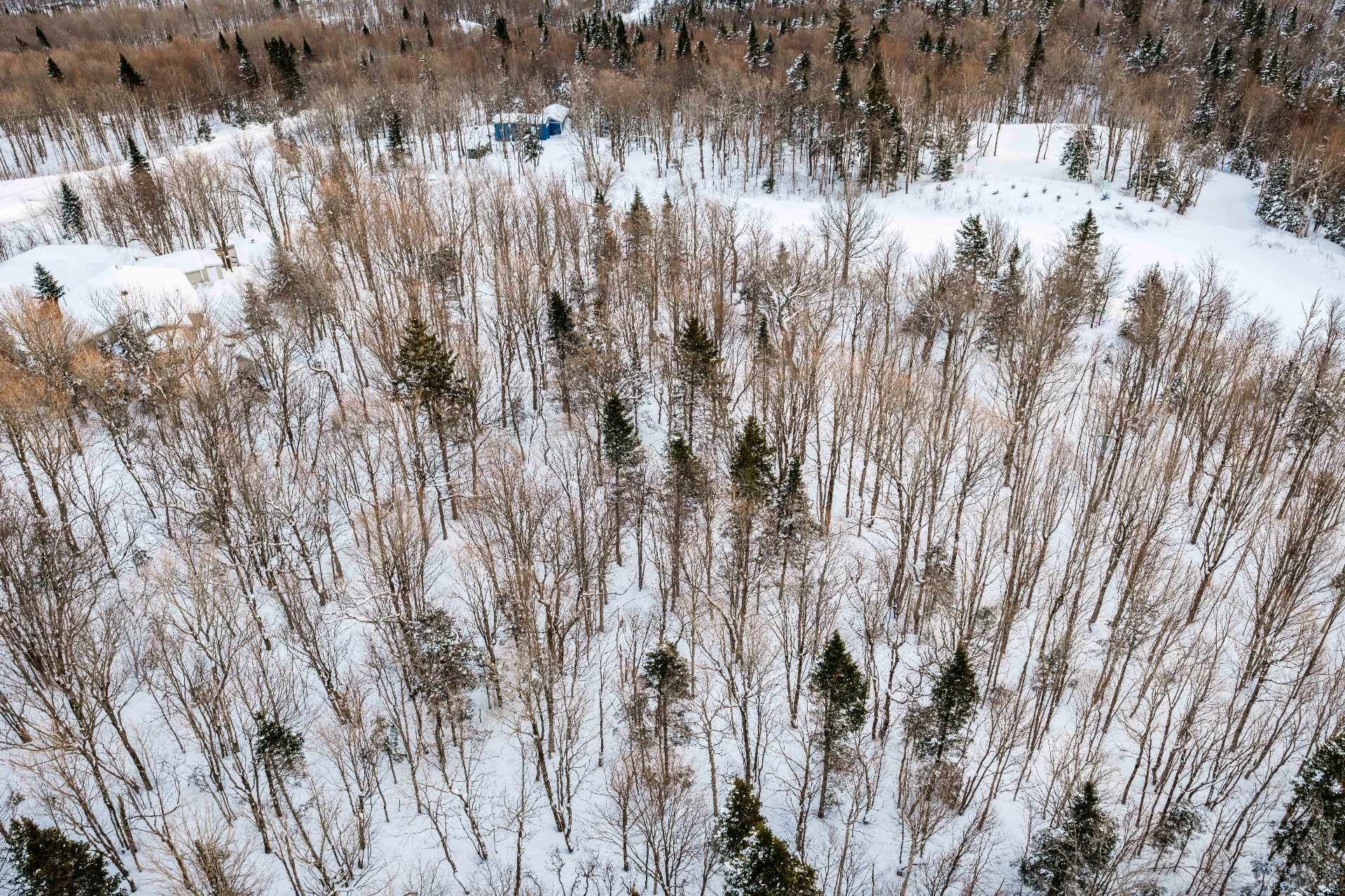 












Ch. Benoît S.

,
Notre-Dame-des-Bois,







QC
J0B2E0

