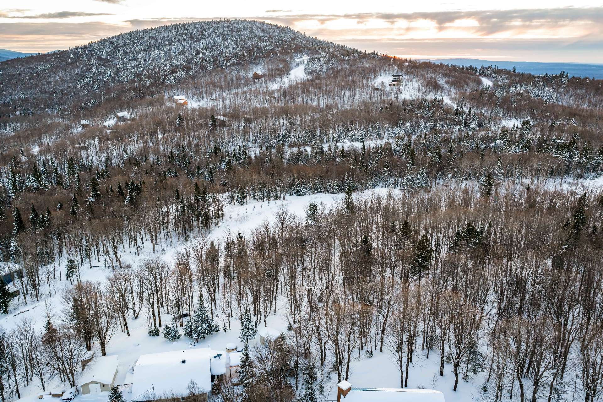 












Ch. Benoît S.

,
Notre-Dame-des-Bois,







QC
J0B2E0

