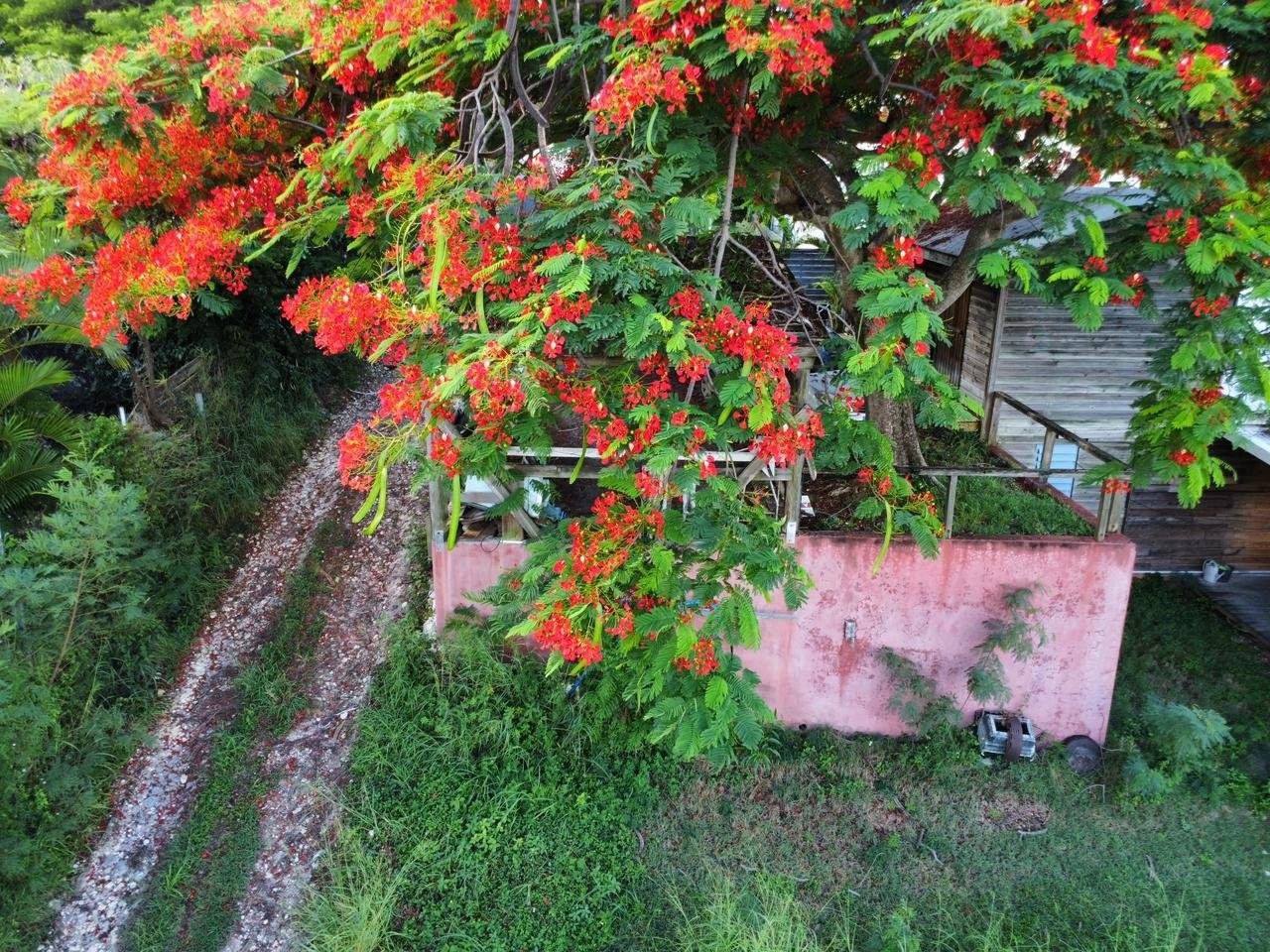 









1


Ch. des Acacias, Bellevue,St-François, Guadeloupe

,
Autres pays / Other countries,





97118

