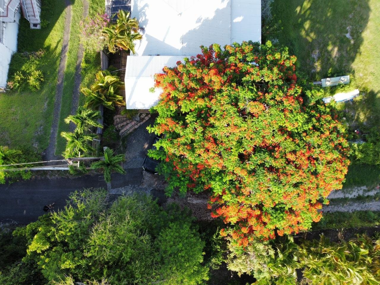 









1


Ch. des Acacias, Bellevue,St-François, Guadeloupe

,
Autres pays / Other countries,





97118

