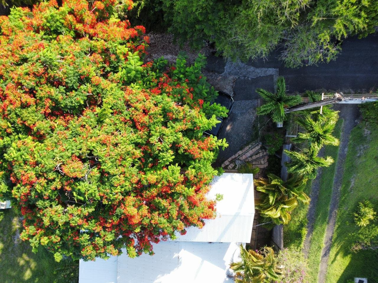 









1


Ch. des Acacias, Bellevue,St-François, Guadeloupe

,
Autres pays / Other countries,





97118

