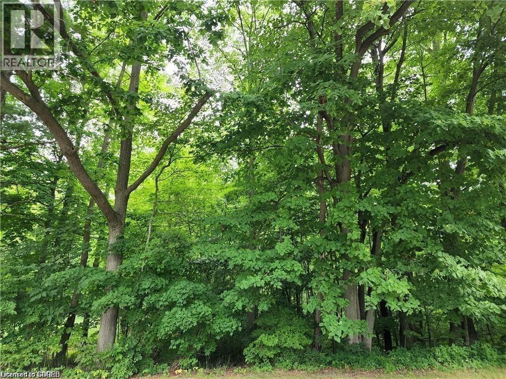 












PT LOT 20 7 CONCESSION

,
Simcoe,







Ontario
N3Y4K1

