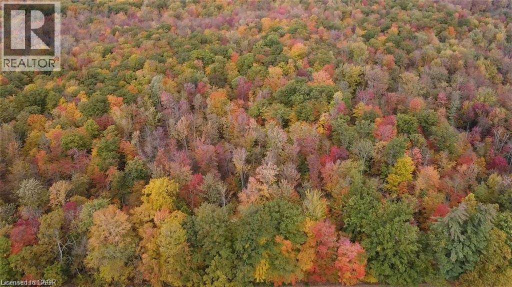 












PT LOT 20 7 CONCESSION

,
Simcoe,







Ontario
N3Y4K1

