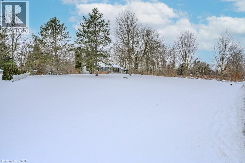 












39 BANNOCKBURN Road

,
Kitchener,







Ontario
N2R1M1

