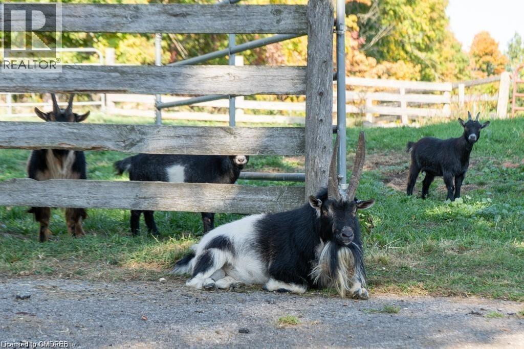 












9630 WELLINGTON RD 42

,
Erin,




Ontario
L7G4S8

