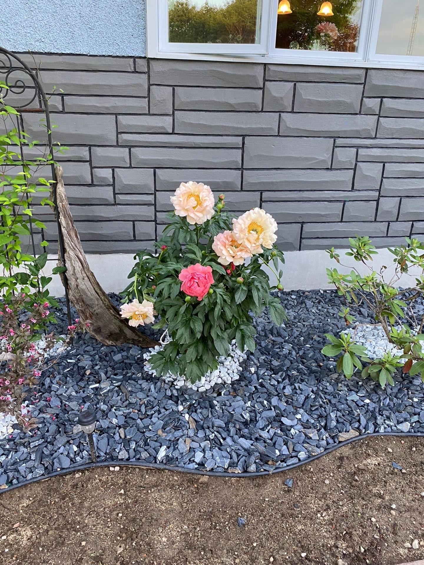 









611


Rue Kenny

,
Gatineau (Buckingham),




QC
J8L1Z7

