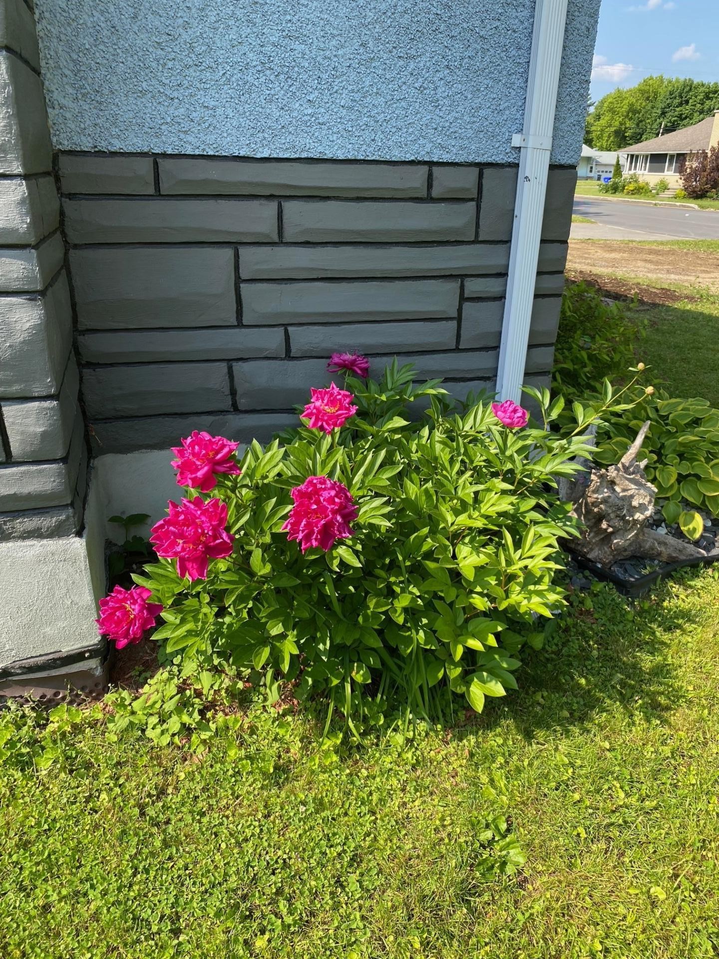 









611


Rue Kenny

,
Gatineau (Buckingham),




QC
J8L1Z7

