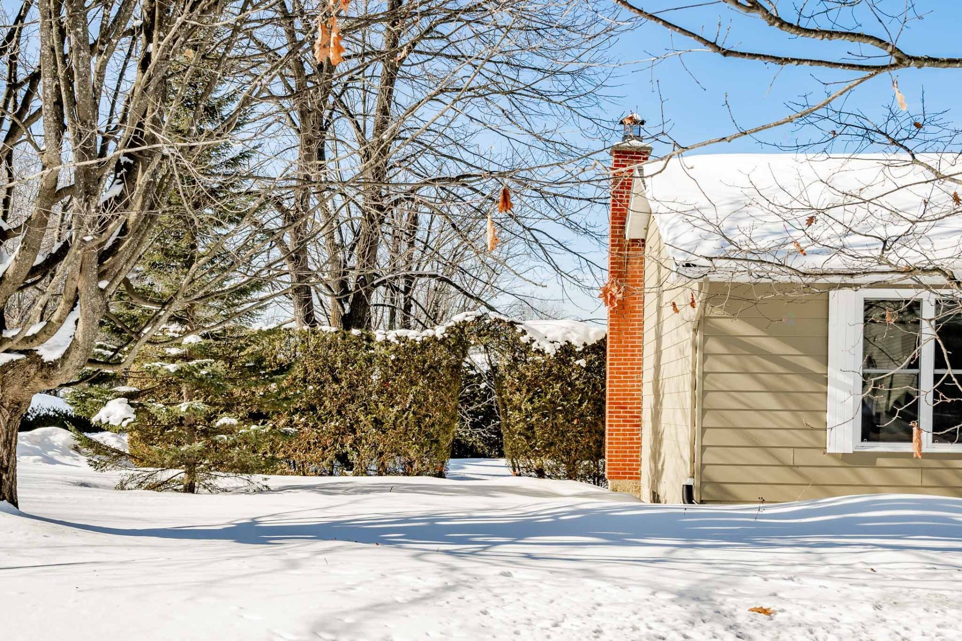 









43


Rue Roger-Boisvert

,
Sherbrooke (Fleurimont),




QC
J1G4E5

