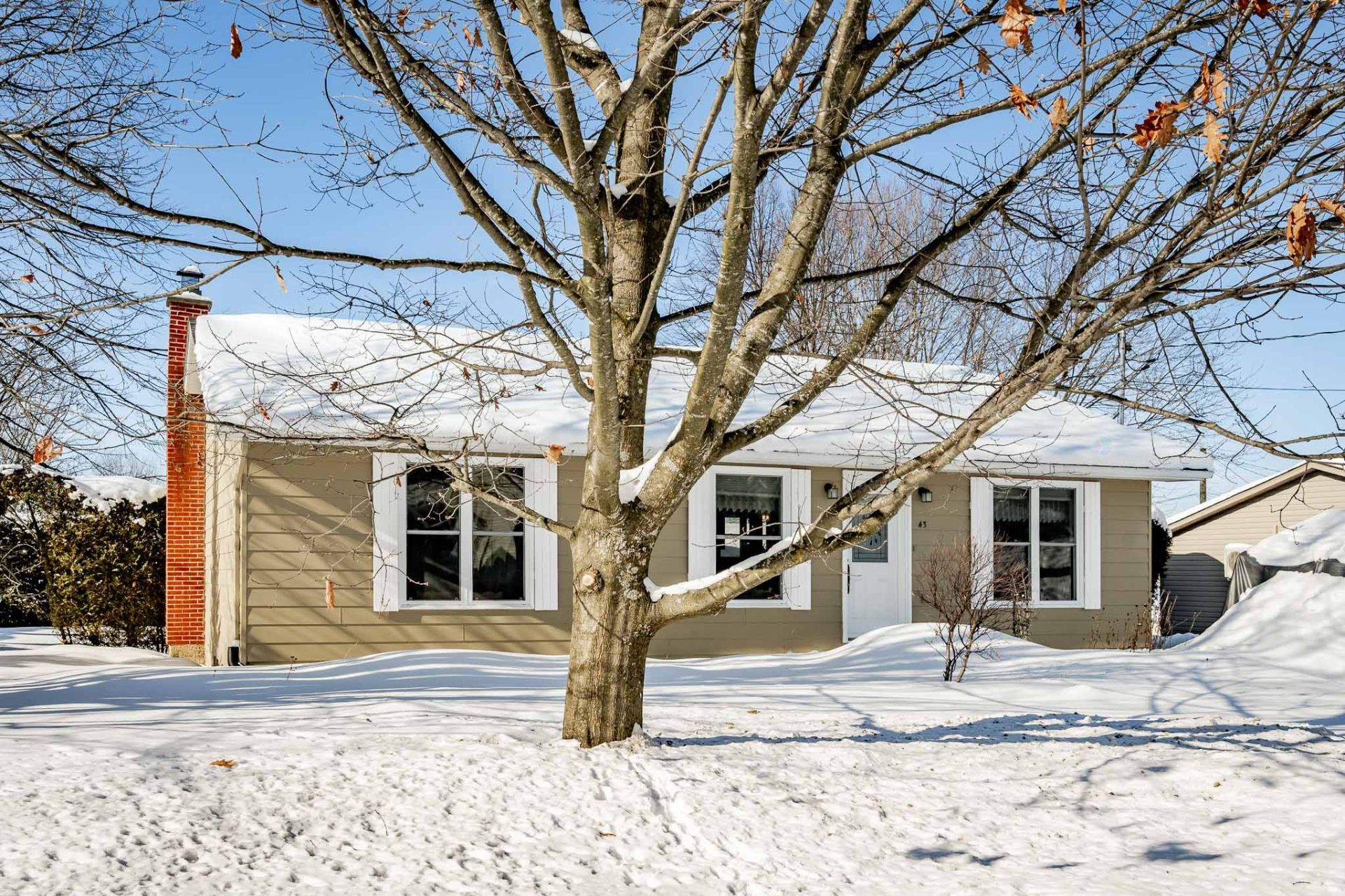 









43


Rue Roger-Boisvert

,
Sherbrooke (Fleurimont),




QC
J1G4E5

