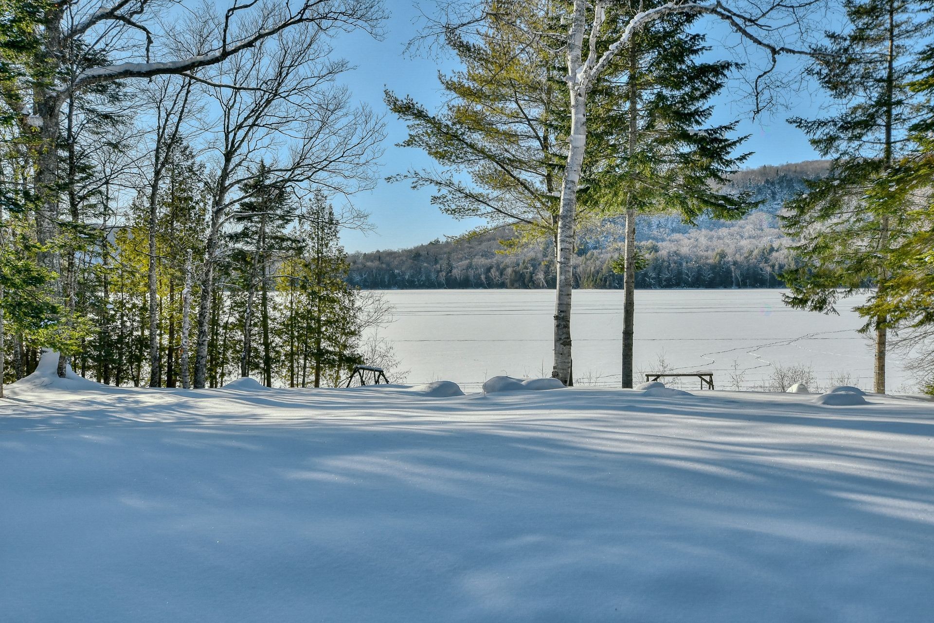 









479


Ch. du Lac-des-Cornes

,
Chute-Saint-Philippe,




QC
J0W1A0

