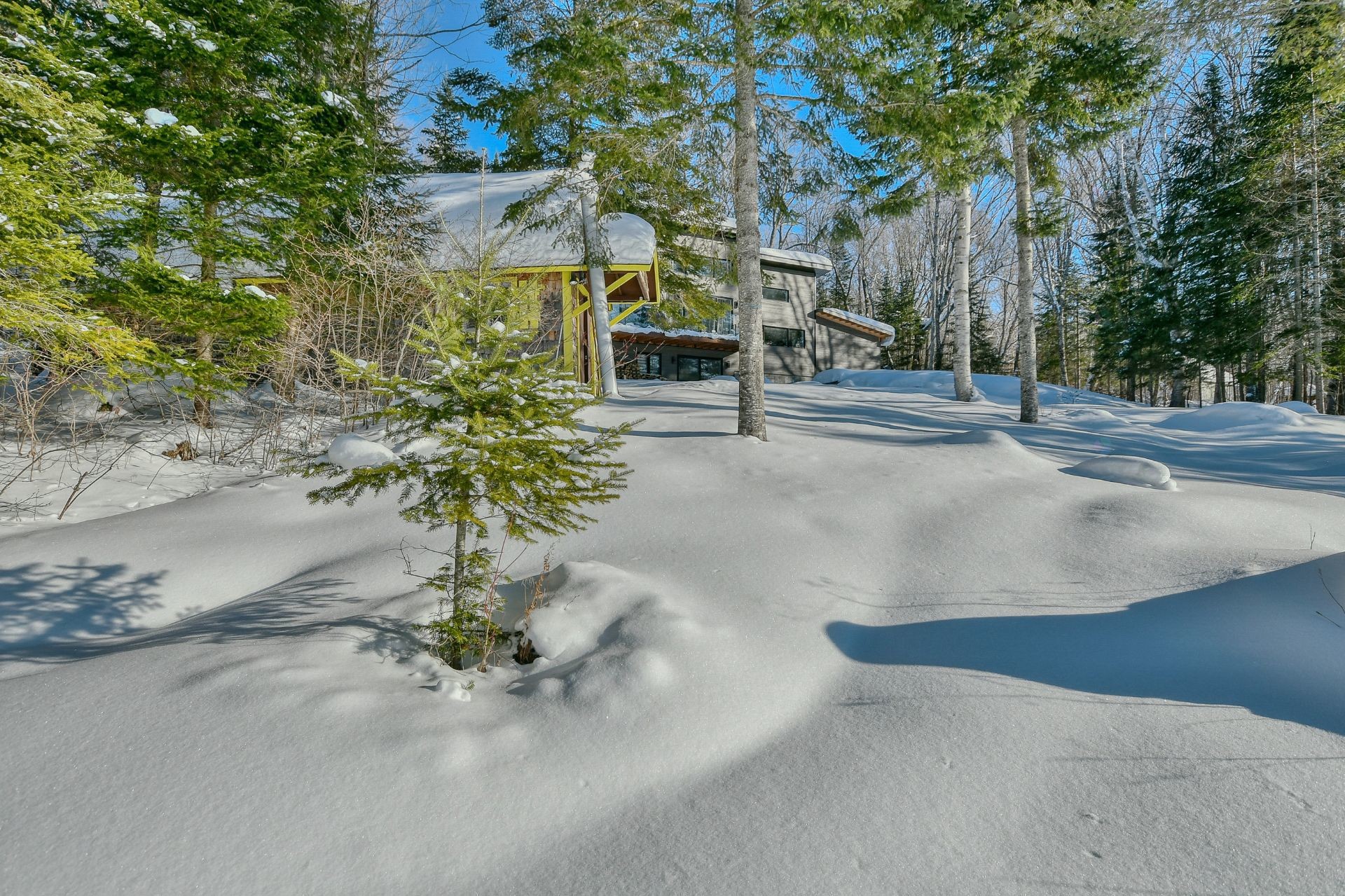 









479


Ch. du Lac-des-Cornes

,
Chute-Saint-Philippe,




QC
J0W1A0

