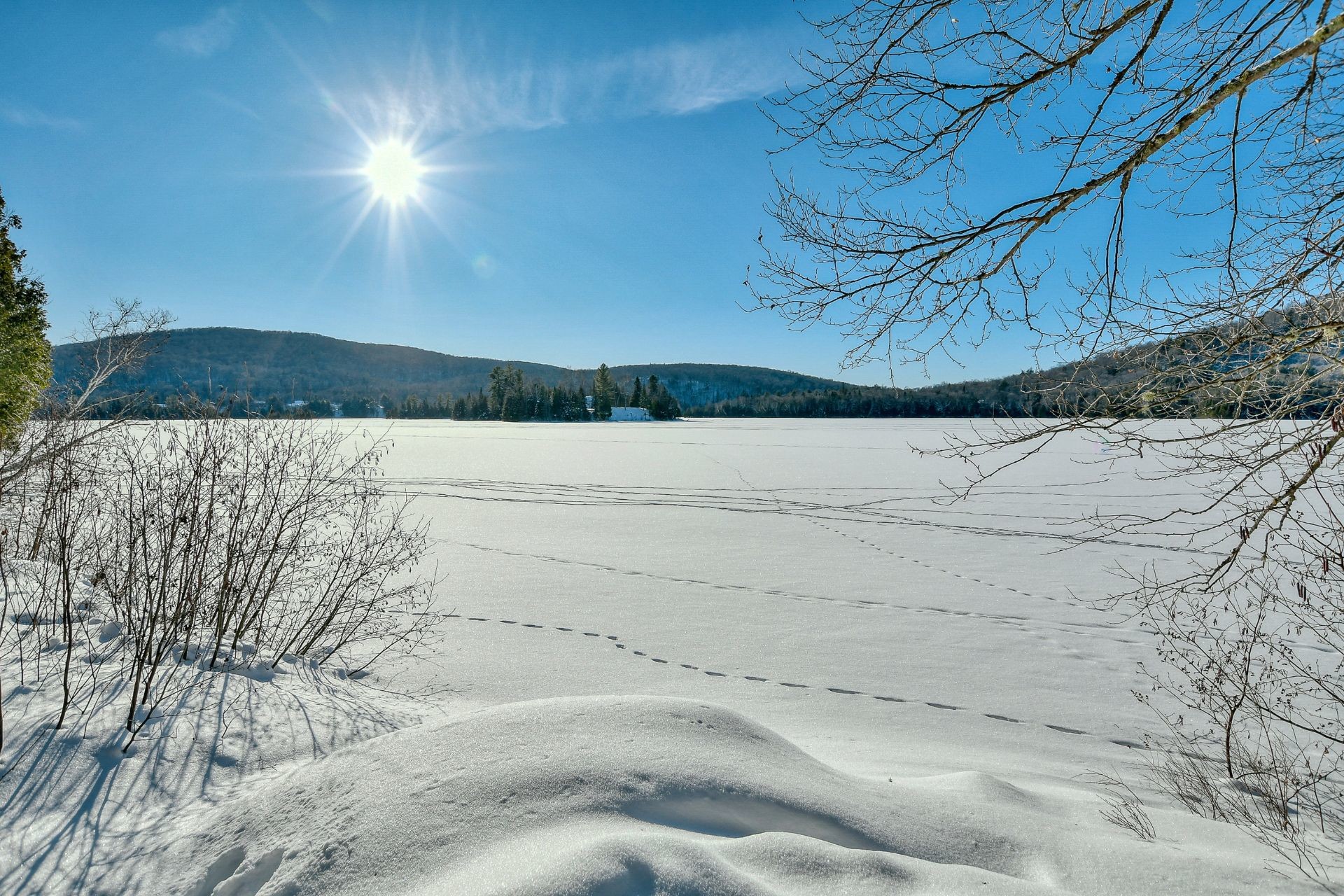 









479


Ch. du Lac-des-Cornes

,
Chute-Saint-Philippe,




QC
J0W1A0

