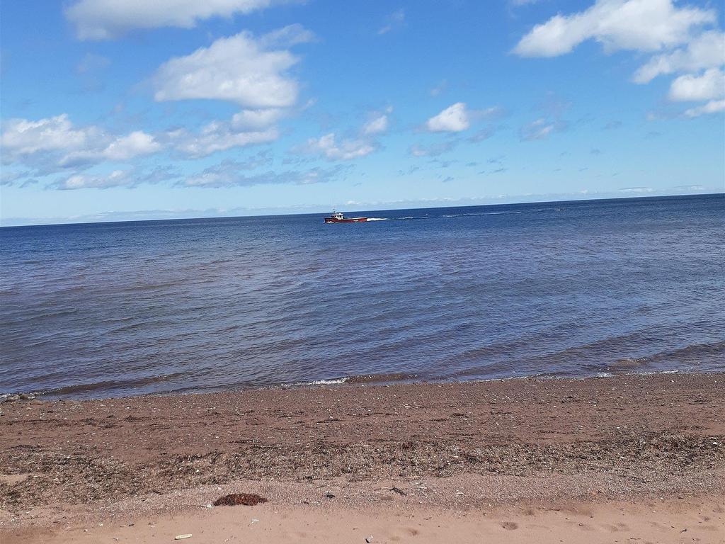 












1407 North Shore Road

,
North Shore,




NS
B0K 1E0

