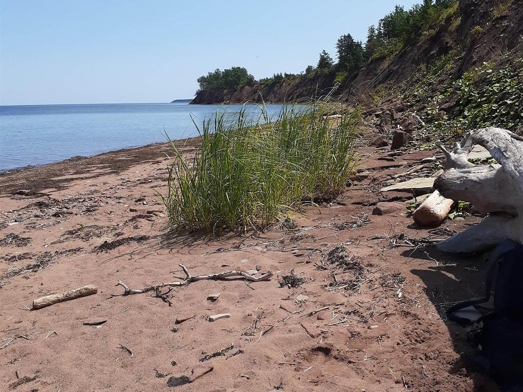 












1407 North Shore Road

,
North Shore,







NS
B0K 1E0

