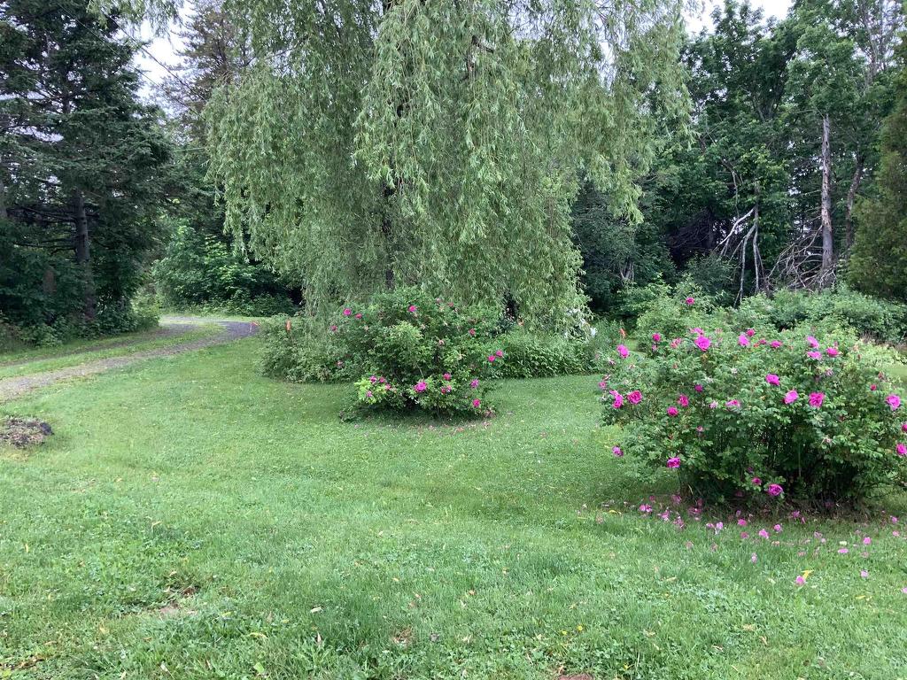 












1407 North Shore Road

,
North Shore,







NS
B0K 1E0

