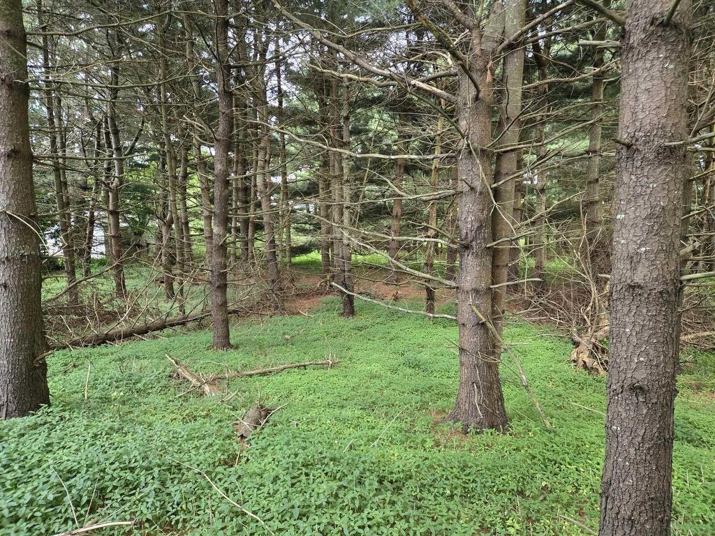 












Lot 3 Salmon River Road

,
Murray Siding,







NS
B2N 7E1

