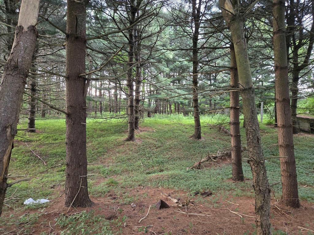 












Lot 3 Salmon River Road

,
Murray Siding,







NS
B2N 7E1

