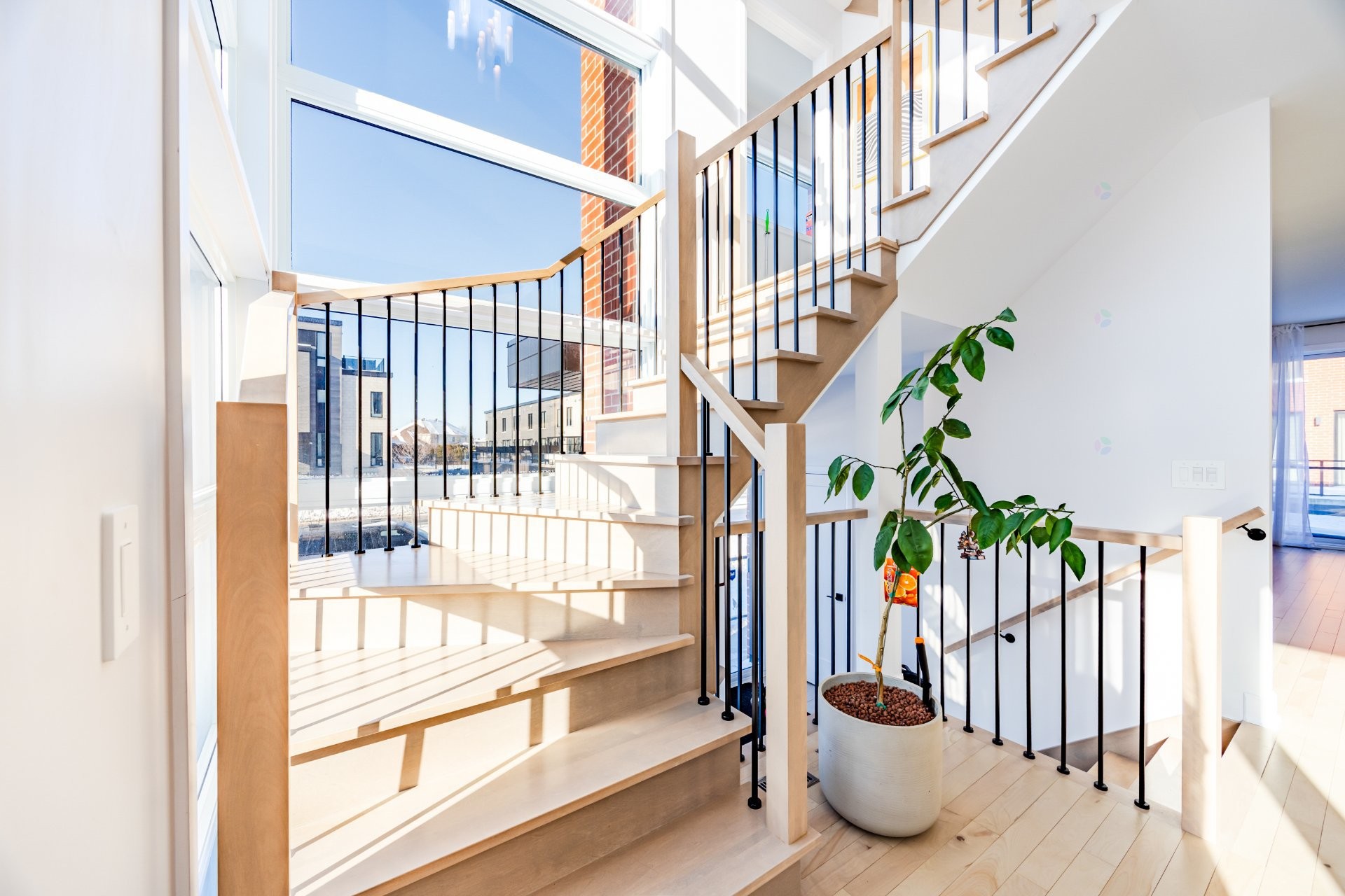 









111


Av. des Chênes

,
Candiac,




QC
J5R0V6

