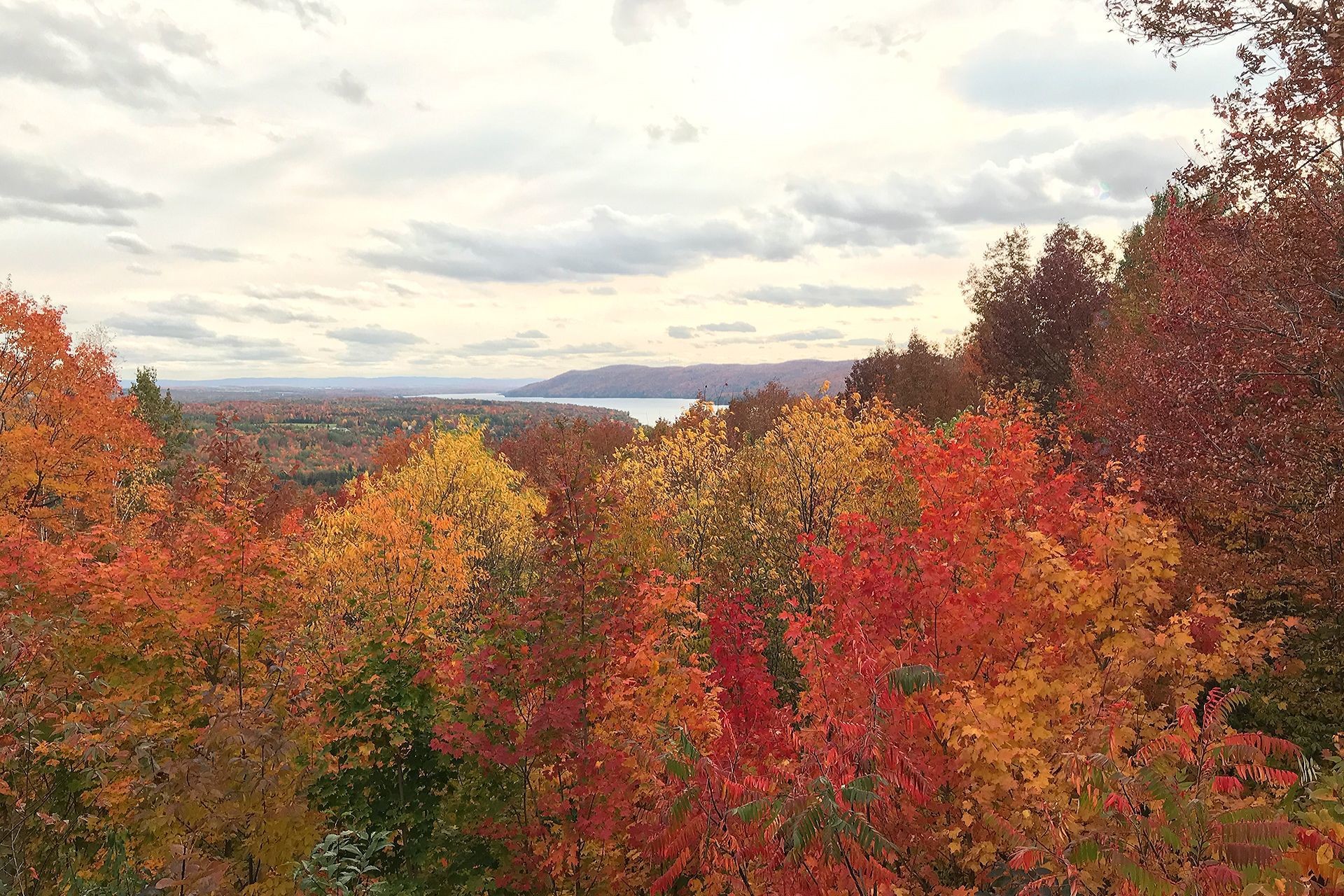 









17


Ch. McFarland

,
Hatley - Canton,




QC
J0B2C0

