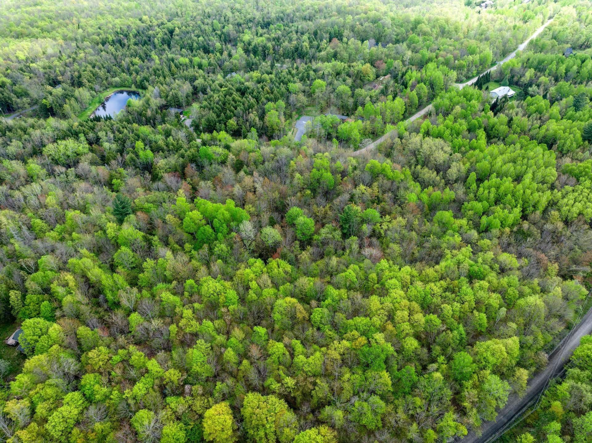 












Ch. des Faisans

,
Potton,







QC
J0E1X0

